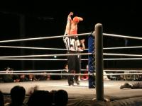 DDT