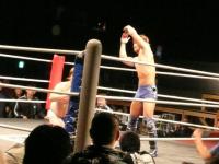 DDT