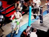 DDT