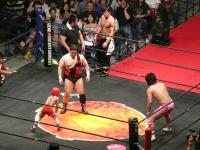 DDT