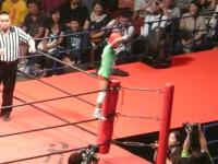 DDT