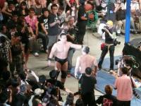DDT