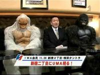 IWAジャパン