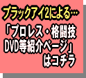 プロレス・格闘技DVD＆グッズ